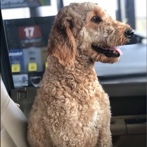 Meet your Posher, Marisa